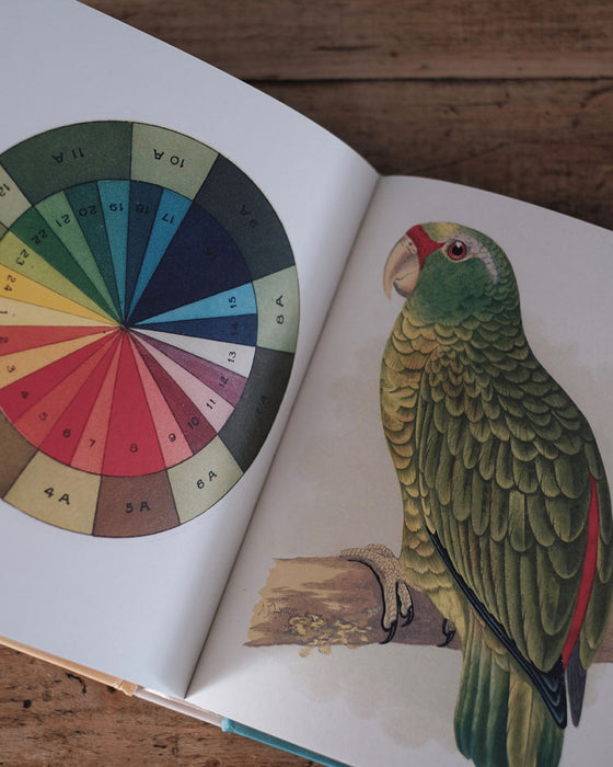 Livre de stickers sur le thème de l'enfance, proposant une large sélection d'autocollants ludiques.
