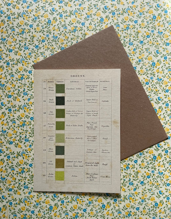 Carte postale - Les verts