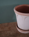 Pot en terre cuite avec une texture agréable, illustré avec une plante pour une ambiance chaleureuse.