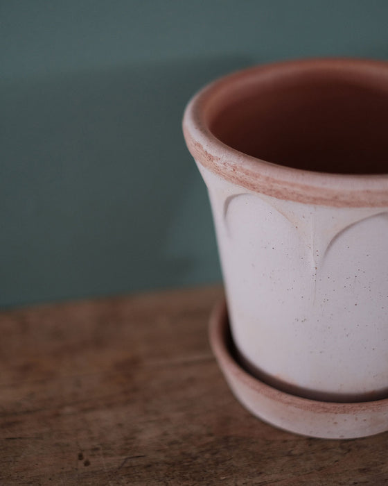 Pot en terre cuite avec une texture agréable, illustré avec une plante pour une ambiance chaleureuse.
