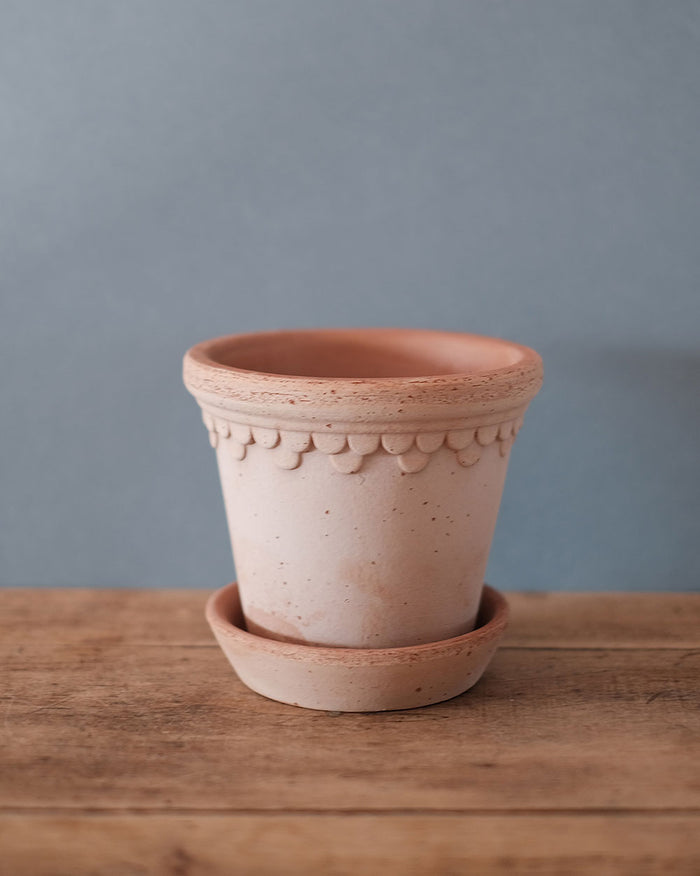 Pots en terre cuite