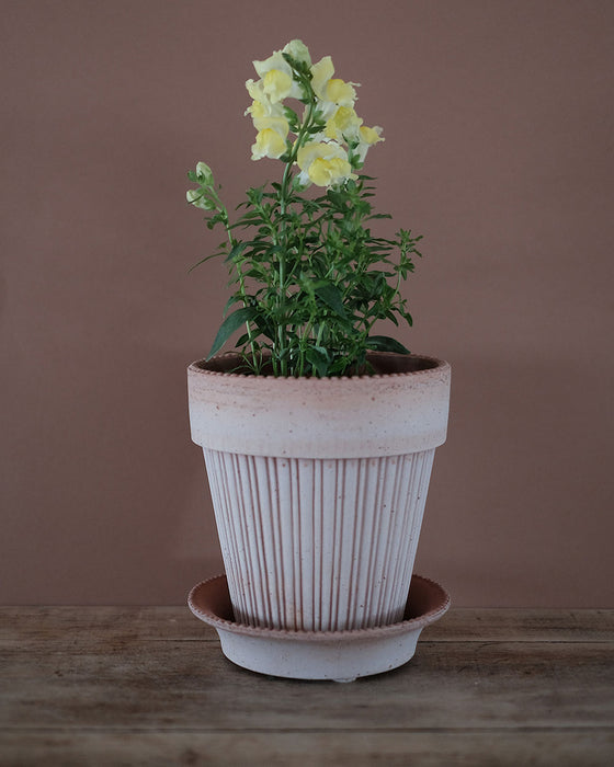 Pot en terre cuite Simona - 16 cm