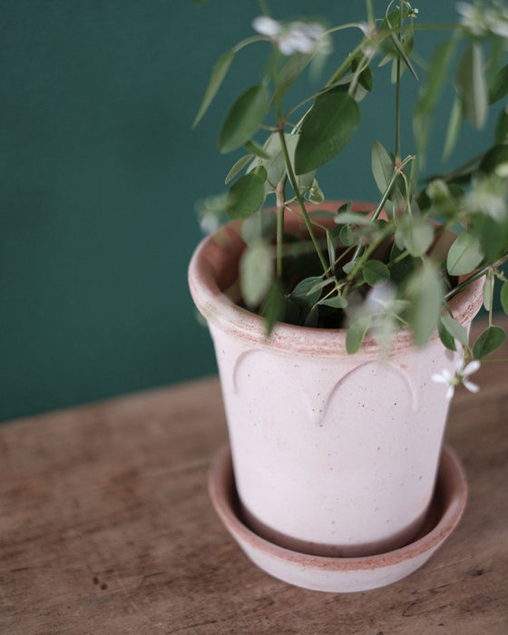 Pot en terre cuite Elizabeth - 14 cm