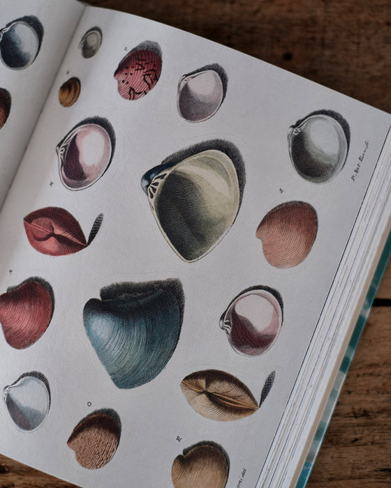 Carnet de stickers décoratifs, mettant en valeur des illustrations uniques, parfait pour la créativité.